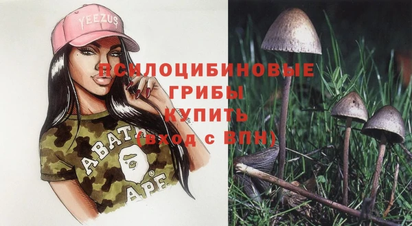 бутират Верея