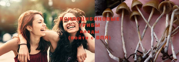 бутират Верея