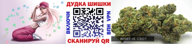 KRAKEN как войти  Новохопёрск  Шишки марихуана White Widow 